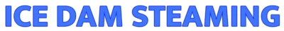 Ice dam steaming logo