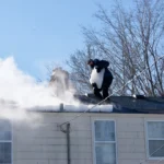 Ice Dam Steaming about us 3