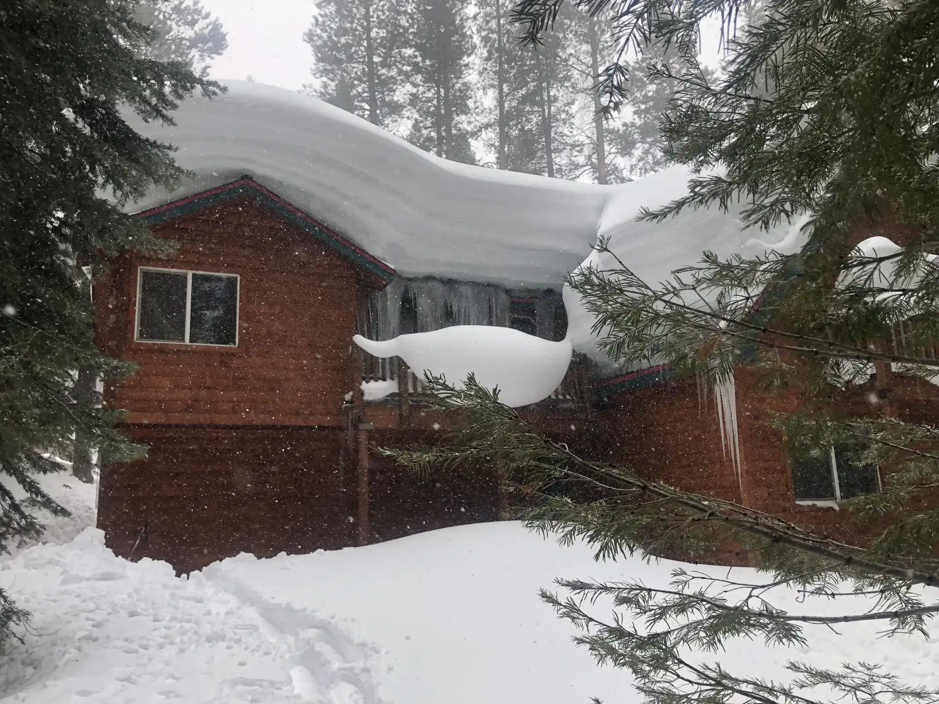 WA roof snow removal service